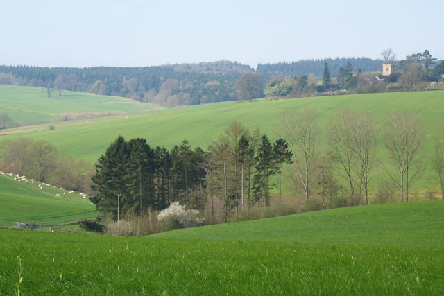 Fields & church