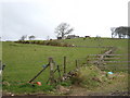 View from A81 towards Hoish