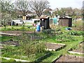 Allotments in Oakdale