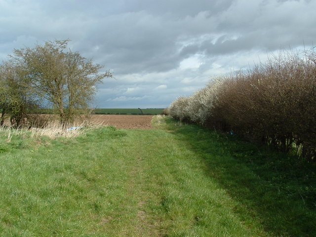 Hill Farm, Burton Fleming