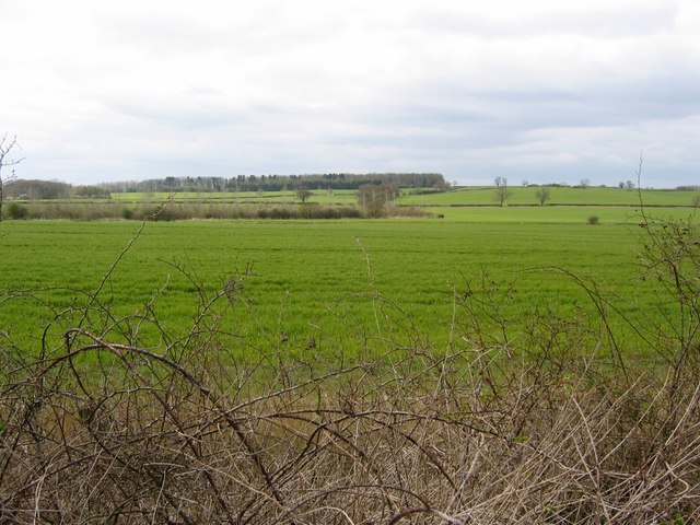 Fields in Brampton Valley