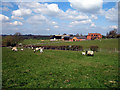 SP8326 : Lower Dean Farm by Martin Addison