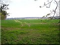 Looking towards Lords Farm