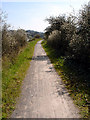 ST5475 : Cycle path - Pill to Bristol by Linda Bailey