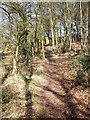 Footpath at Sandy Down