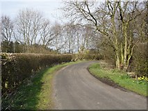 SJ6684 : Wither's Lane, High Legh by Mike Harris