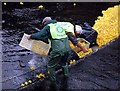 Hebden Bridge Duck Race