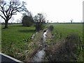 Whiston Brook