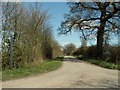 Public Bridleway, just east of Fairstead