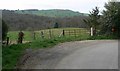 Bush Wood, Shropshire