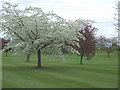 Private Garden and Mini Golf Course, near Nurton, Staffordshire