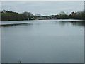 Netherton Reservoir