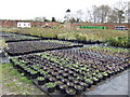 Didlington Nurseries