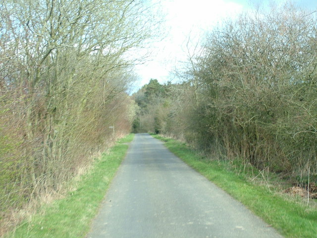Road near Briarwood