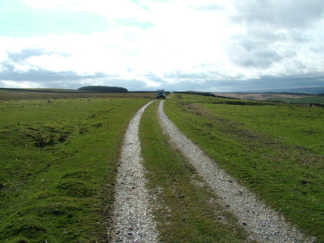 Byway over Ridley Common