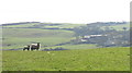 SH4787 : View across grazing land to Pentre Eirianell Farmhouse by Eric Jones