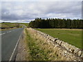 NY8790 : The A68 as it drops down to Miller Burn by Phil Catterall