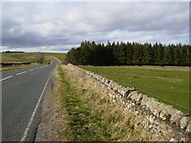 NY8790 : The A68 as it drops down to Miller Burn by Phil Catterall