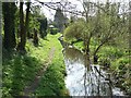 Stream, East Chisenbury