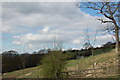 Road above the church Lanchester