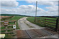 Cattle Grid Rowley Farm