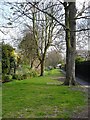 Streamside walk, Faversham