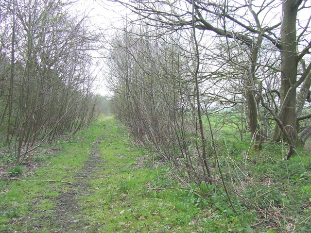 Course of Old Railway, Pillaton, Staffordshire