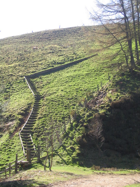 Steps from Robber's Cleugh.