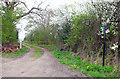 Bridleway to Wagstaff