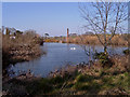 Annsborough - mill pond