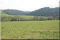 North Molton: towards Parkers Wood