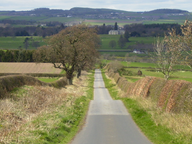 Minor road to Sprouston and the Tweed Valley east of Kelso
