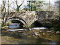 Afon Syfynwy at Farthing