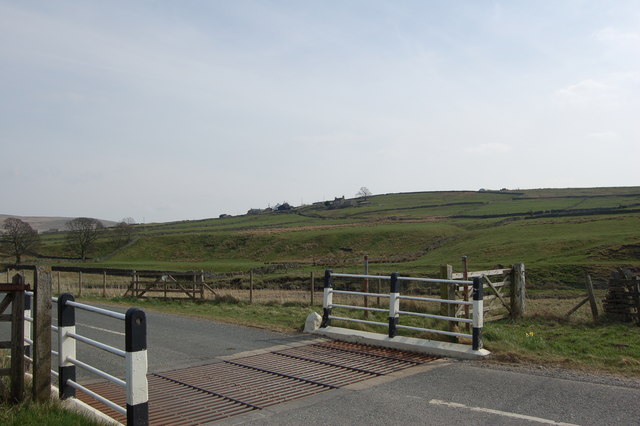 Cattle Grid Rookhope