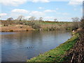 Eastern arm of reservoir