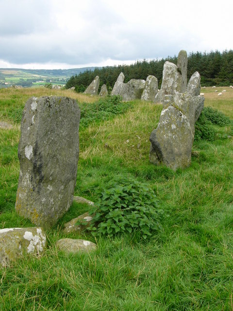 Beltany stone circle