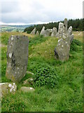 C2500 : Beltany stone circle by Chris Gunns