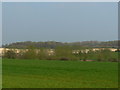 A view from just outside Great Bedwyn