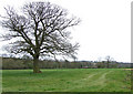 Grazing Land near Lindridge, Shropshire