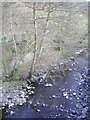 Afon Lwyd, near Abersychan