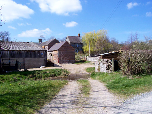 Ford garages west of ireland #3