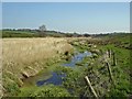 Marston: Brook from Pick Mere to Budworth Mere