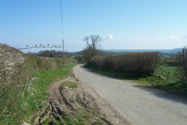 Looking along the road