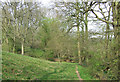 Footpath across Grazings and Woodland, near Romsley, Shropshire