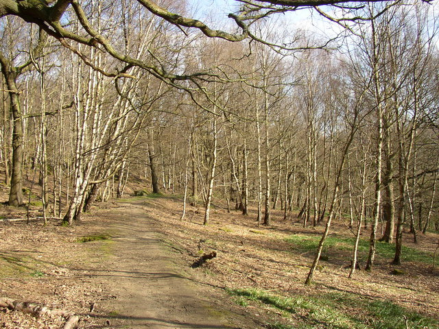 The path through Cromwell Wood, Southowram (2)