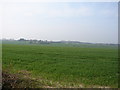 Looking towards River Minnis and Loganberry Farm