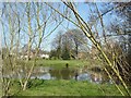 Pond at Pickmere