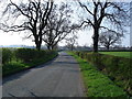 The approach to East Cowton