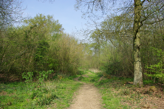 Path, Garnetts Wood © Robin Webster :: Geograph Britain and Ireland