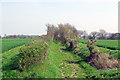 Bridleway to Chignall Smealy